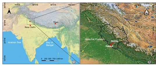 Cradle of Jamun Evolution
